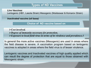 Cost involved.
Degree of immunity necessary for protection.
Exposure to local field virus in terms of its virulence and prevalence.1
In general the more active vaccines (Mesogenic) are used in areas where
the field disease is severe. A vaccination program based on lentogenic
vaccines is adopted in areas where the field virus is of lesser virulence.
Lentogenic vaccines and Inactivated vaccines of high quality applied which
can result the degree of protection that are equal to those obtained with
Mesogenic strain.
Live Vaccines
Lentogenic (HB1, Lasota Strain) Mesogenic (Mukteswar & Komarov Strain)
Inactivated vaccine (oil base)
Types of ND Vaccines
Choice of ND vaccine based on
 