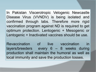 In Pakistan Viscerotropic Velogenic Newcastle
Disease Virus (VVNDV) is being isolated and
confirmed through labs. Therefore more rigid
vaccination program against ND is required to get
optimum protection. Lentogenic + Mesogenic or
Lentogenic + Inactivated vaccines should be use.
Revaccination of live vaccination in
layers/breeders every 6 – 8 weeks during
production shall maintain the humoral as well as
local immunity and save the production losses.
 