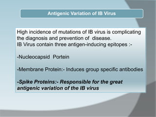 Antigenic Variation of IB Virus
High incidence of mutations of IB virus is complicating
the diagnosis and prevention of disease.
IB Virus contain three antigen-inducing epitopes :-
-Nucleocapsid Portein
-Membrane Protein:- Induces group specific antibodies
-Spike Proteins:- Responsible for the great
antigenic variation of the IB virus
 