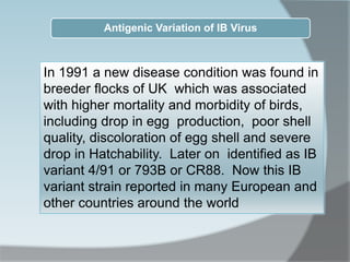 In 1991 a new disease condition was found in
breeder flocks of UK which was associated
with higher mortality and morbidity of birds,
including drop in egg production, poor shell
quality, discoloration of egg shell and severe
drop in Hatchability. Later on identified as IB
variant 4/91 or 793B or CR88. Now this IB
variant strain reported in many European and
other countries around the world
Antigenic Variation of IB Virus
 