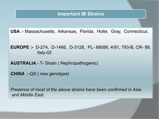 USA :- Massachusetts, Arkansas, Florida, Holte, Gray, Connecticut.
EUROPE :- D-274, D-1466, D-3128, PL- 88088, 4/91, 793-B, CR- 88,
Italy-02
AUSTRALIA:- T- Strain ( Nephropathogenic)
CHINA :-QX ( new genotype)
Presence of most of the above strains have been confirmed in Asia
and Middle East
Important IB Strains
 