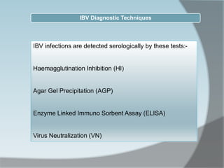 IBV infections are detected serologically by these tests:-
Haemagglutination Inhibition (HI)
Agar Gel Precipitation (AGP)
Enzyme Linked Immuno Sorbent Assay (ELISA)
Virus Neutralization (VN)
IBV Diagnostic Techniques
 