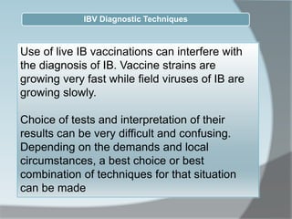 Use of live IB vaccinations can interfere with
the diagnosis of IB. Vaccine strains are
growing very fast while field viruses of IB are
growing slowly.
Choice of tests and interpretation of their
results can be very difficult and confusing.
Depending on the demands and local
circumstances, a best choice or best
combination of techniques for that situation
can be made
IBV Diagnostic Techniques
 