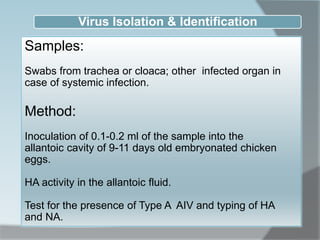 Virus Isolation & Identification
Samples:
Swabs from trachea or cloaca; other infected organ in
case of systemic infection.
Method:
Inoculation of 0.1-0.2 ml of the sample into the
allantoic cavity of 9-11 days old embryonated chicken
eggs.
HA activity in the allantoic fluid.
Test for the presence of Type A AIV and typing of HA
and NA.
 