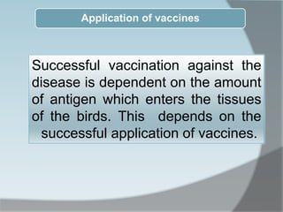Successful vaccination against the
disease is dependent on the amount
of antigen which enters the tissues
of the birds. This depends on the
successful application of vaccines.
Application of vaccines
 