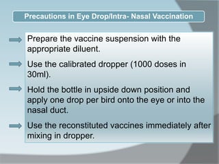 Precautions in Eye Drop/Intra- Nasal Vaccination
Prepare the vaccine suspension with the
appropriate diluent.
Use the calibrated dropper (1000 doses in
30ml).
Hold the bottle in upside down position and
apply one drop per bird onto the eye or into the
nasal duct.
Use the reconstituted vaccines immediately after
mixing in dropper.
 