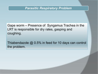 Gape worm – Presence of Syngamus Trachea in the
LRT is responsible for dry rales, gasping and
coughing.
Thiabendazole @ 0.5% in feed for 10 days can control
the problem.
Parasitic Respiratory Problem
 