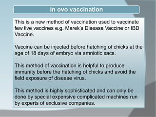 In ovo vaccination
This is a new method of vaccination used to vaccinate
few live vaccines e.g. Marek’s Disease Vaccine or IBD
Vaccine.
Vaccine can be injected before hatching of chicks at the
age of 18 days of embryo via amniotic sacs.
This method of vaccination is helpful to produce
immunity before the hatching of chicks and avoid the
field exposure of disease virus.
This method is highly sophisticated and can only be
done by special expensive complicated machines run
by experts of exclusive companies.
 