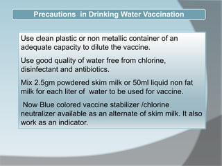 Precautions in Drinking Water Vaccination
Use clean plastic or non metallic container of an
adequate capacity to dilute the vaccine.
Use good quality of water free from chlorine,
disinfectant and antibiotics.
Mix 2.5gm powdered skim milk or 50ml liquid non fat
milk for each liter of water to be used for vaccine.
Now Blue colored vaccine stabilizer /chlorine
neutralizer available as an alternate of skim milk. It also
work as an indicator.
 