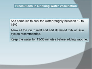 Precautions in Drinking Water Vaccination
Add some ice to cool the water roughly between 10 to
15oC
Allow all the ice to melt and add skimmed milk or Blue
dye as recommended.
Keep the water for 15-30 minutes before adding vaccine.
 