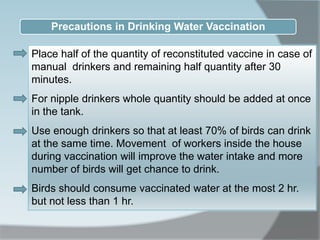 Place half of the quantity of reconstituted vaccine in case of
manual drinkers and remaining half quantity after 30
minutes.
For nipple drinkers whole quantity should be added at once
in the tank.
Use enough drinkers so that at least 70% of birds can drink
at the same time. Movement of workers inside the house
during vaccination will improve the water intake and more
number of birds will get chance to drink.
Birds should consume vaccinated water at the most 2 hr.
but not less than 1 hr.
Precautions in Drinking Water Vaccination
 