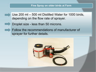 Use 200 ml – 500 ml Distilled Water for 1000 birds,
depending on the flow rate of sprayer.
Droplet size - less than 50 microns.
Follow the recommendations of manufacturer of
sprayer for further details.
Fine Spray on older birds at Farm
 