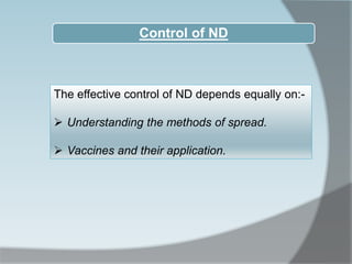 The effective control of ND depends equally on:-
 Understanding the methods of spread.
 Vaccines and their application.
...