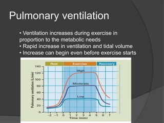Pulmonary ventilation
• Ventilation increases during exercise in
proportion to the metabolic needs
• Rapid increase in ventilation and tidal volume
• Increase can begin even before exercise starts
 