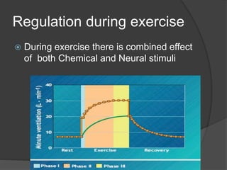 Regulation during exercise
 During exercise there is combined effect
of both Chemical and Neural stimuli
 