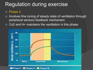 Regulation during exercise
 Phase 3:
 Involves fine tuning of steady state of ventilation through
peripheral sensory feedback mechanism
 Co2 and H+ maintains the ventilation in this phase
 