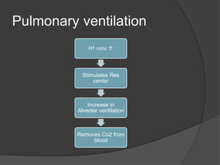 Pulmonary ventilation
H† conc ↑
Stimulates Res
center
Increase in
Alveolar ventilation
Removes Co2 from
blood
 