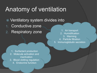 Anatomy of ventilation
 Ventilatory system divides into
1. Conductive zone
2. Respiratory zone 1. Air transport
2. Humidification
3. Warming
4. Particle filtration
5. Immunoglobulin secretion
1. Surfactant production
2. Molecule activation and
inactivation
3. Blood clotting regulation
4. Endocrine function
 