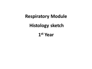 Respiratory Module
Histology sketch
1st Year
 