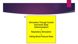 Stimulation Through Carotid
And Aortic Body
Chemoreceptors
↓
Respiratory Stimulation
↓
Falling Blood Pressure Rises
2.
 