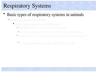 • Basic types of respiratory systems in animals
Respiratory Systems
How do organisms ‘solve’ common problems?
– Internal (covered) Gills
– thin gills (blood vessels close to surface of gill)
– Increase surface area of gill with feather-like arrangement
– Uses counter-current system in gills to increase P
• How to maximize rate of diffusion?
– Constantly ‘pump’ water across gills with buccal and opercular cavities
 