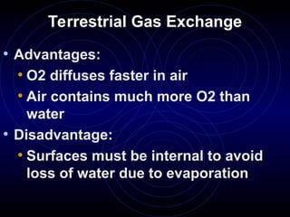 Terrestrial Gas Exchange
• Advantages:
• O2 diffuses faster in air
• Air contains much more O2 than
water
• Disadvantage:
• Surfaces must be internal to avoid
loss of water due to evaporation
 