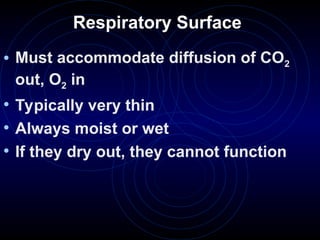 Respiratory Surface
• Must accommodate diffusion of CO2
out, O2 in
• Typically very thin
• Always moist or wet
• If they dry out, they cannot function
 