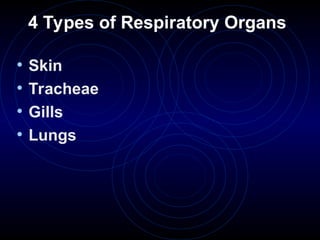 4 Types of Respiratory Organs
• Skin
• Tracheae
• Gills
• Lungs
 