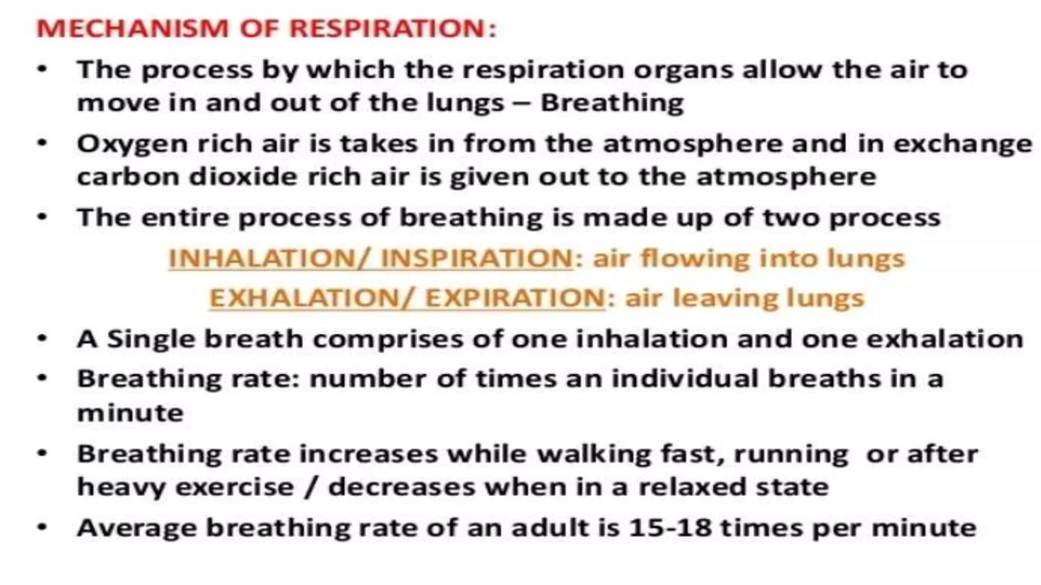 THE RESPIRATORY SYSTEM Anatomy and physiology slideshare | PPTX