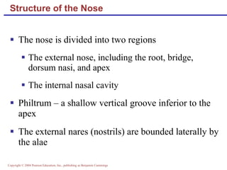 R espiratory sys part 1 marieb | PPT