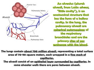 Respiratory syst | PPT