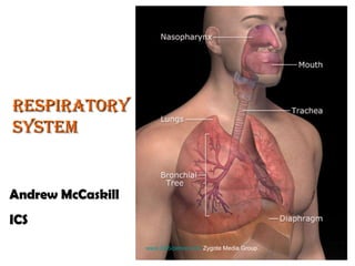 www.3DScience.com  Zygote Media Group.  Respiratory System Andrew McCaskill ICS 