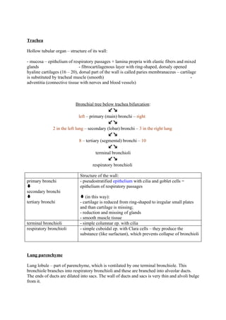 Respiratory syst   copy