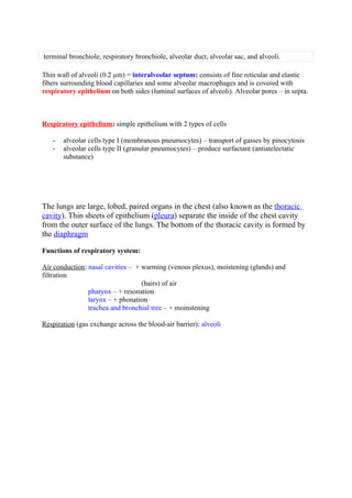 Respiratory syst   copy