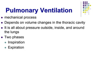 Pulmonary Ventilation
 mechanical process
 Depends on volume changes in the thoracic cavity
 It is all about pressure outside, inside, and around
the lungs
 Two phases
 Inspiration
 Expiration
 