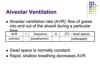 Alveolar Ventilation
 Alveolar ventilation rate (AVR): flow of gases
into and out of the alveoli during a particular
time
 Dead space is normally constant
 Rapid, shallow breathing decreases AVR
AVR = frequency X (TV – dead space)
(ml/min) (breaths/min) (ml/breath)
 