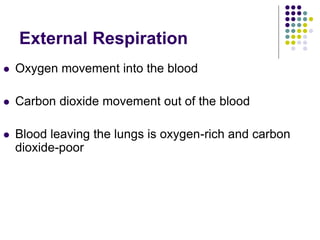 External Respiration
 Oxygen movement into the blood
 Carbon dioxide movement out of the blood
 Blood leaving the lungs is oxygen-rich and carbon
dioxide-poor
 