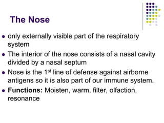 The Nose
 only externally visible part of the respiratory
system
 The interior of the nose consists of a nasal cavity
divided by a nasal septum
 Nose is the 1st line of defense against airborne
antigens so it is also part of our immune system.
 Functions: Moisten, warm, filter, olfaction,
resonance
 