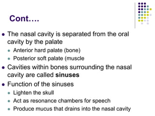 Cont….
 The nasal cavity is separated from the oral
cavity by the palate
 Anterior hard palate (bone)
 Posterior soft palate (muscle
 Cavities within bones surrounding the nasal
cavity are called sinuses
 Function of the sinuses
 Lighten the skull
 Act as resonance chambers for speech
 Produce mucus that drains into the nasal cavity
 