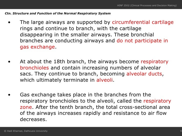 Which Of The Aiways Do Not Contain Rings Of Cartilage Which Of The Aiways Do Not Contain Rings Of Cartilage
