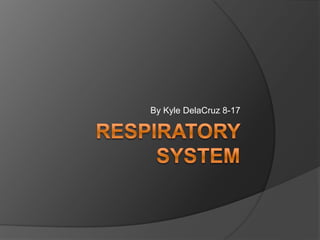 Respiratory system By Kyle DelaCruz 8-17 