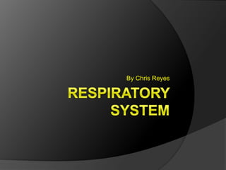  Respiratory system By Chris Reyes 