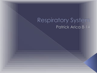 Respiratory System Patrick Arica 8-14 