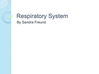Respiratory System By Sandra Freund 