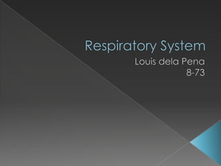 Respiratory System Louis dela Pena 8-73 