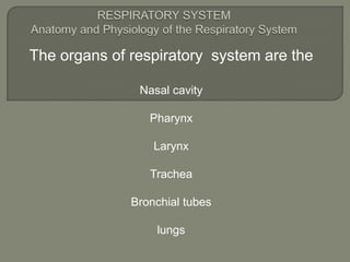 RESPIRATORY SYSTEMAnatomy and Physiology of the Respiratory System The organs of respiratory  system are the  Nasal cavity Pharynx Larynx Trachea Bronchial tubes lungs 