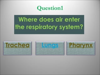 Question1 Where does air enter the respiratory system? Trachea Lungs Pharynx 