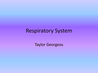 Respiratory System Taylor Georgeos 