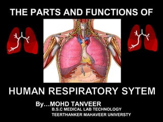 THE PARTS AND FUNCTIONS OF
By…MOHD TANVEER
B.S.C MEDICAL LAB TECHNOLOGY
TEERTHANKER MAHAVEER UNIVERSTY
 