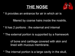 * It provides an entrance for air in which air is  filtered by coarse hairs inside the nostrils. * It has 2 portions : the external and internal * The external portion is supported by a framework  of bone and cartilage covered with skin and  lined with mucous membrane.  * The internal portion is a large cavity in the skull,  merging with the extrenal nose anteriorly and  communicating with the throat posteriorly. THE NOSE   